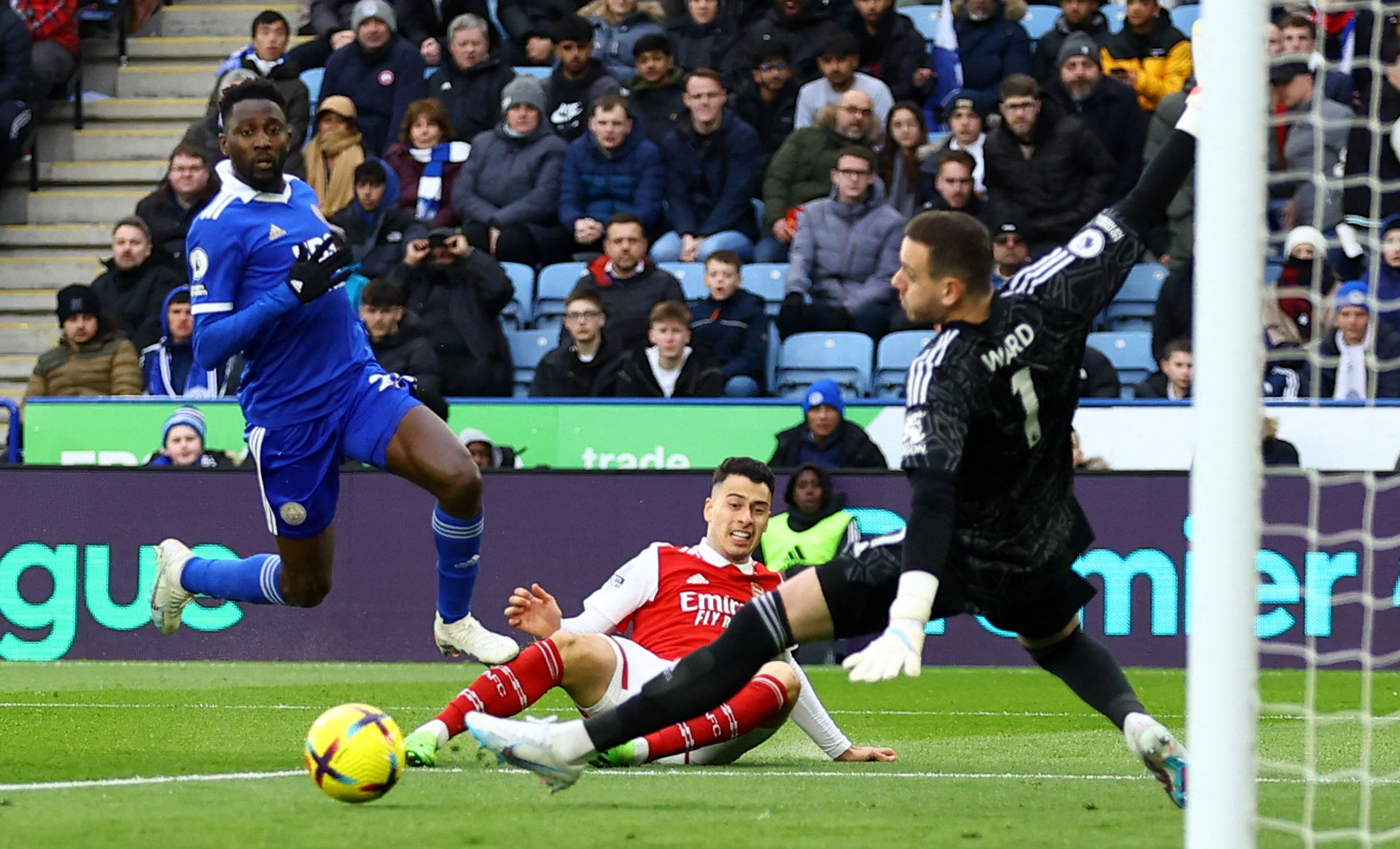 球赛场的激 球赛场的激